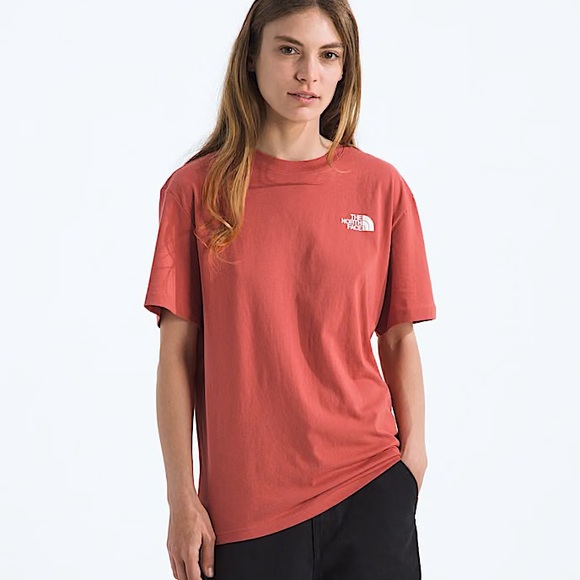 NWT The North Face Evolution Box NSE RelaxedShort-Sleeve Tee Mars Dust - Picture 3 of 8